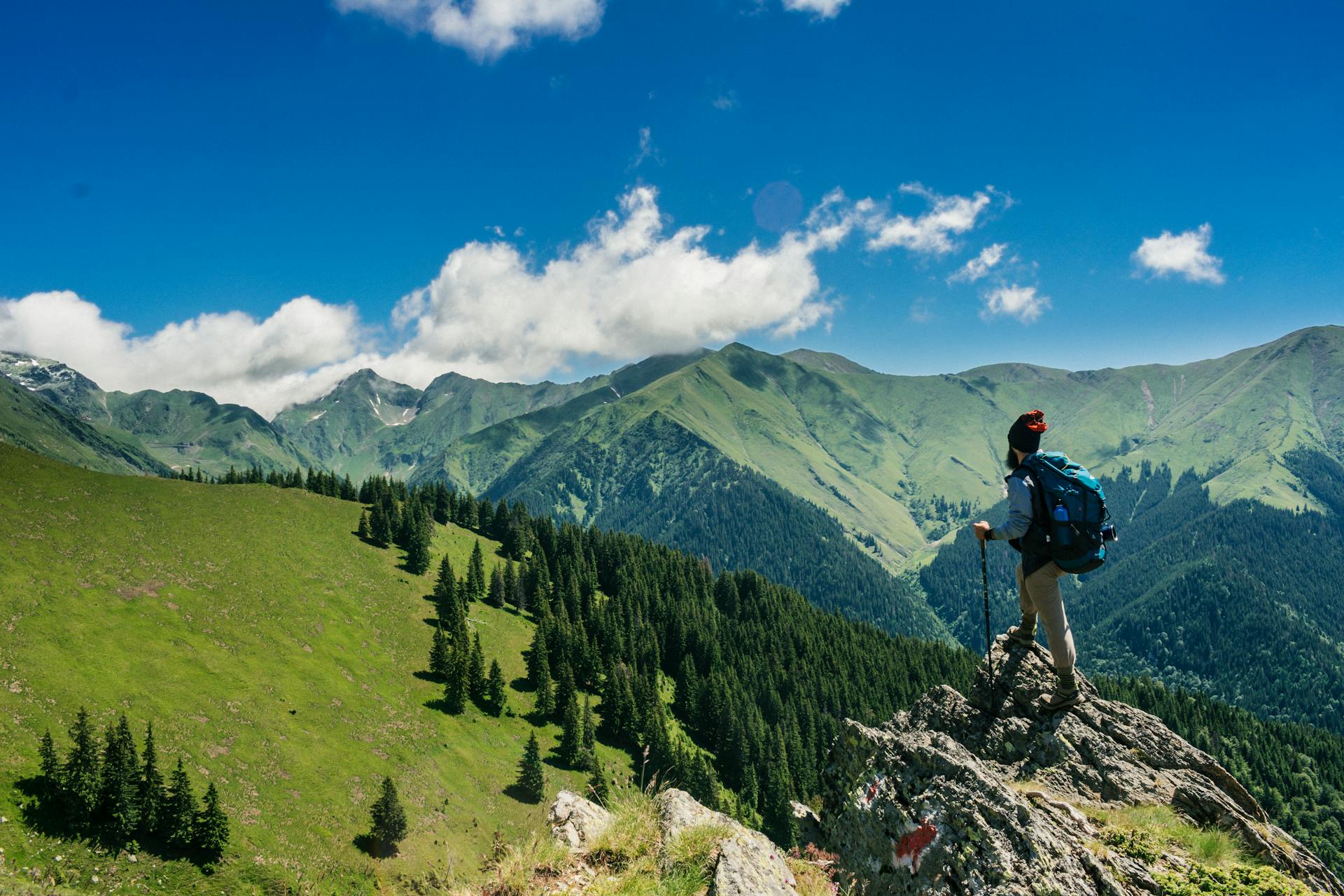 Torgon chalet in summer, alpine landscape